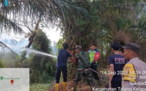 Tim Karhutlah Padamkan Api di Desa Sungai Rengit