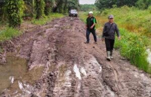 Jalan Poros Menuju Kecamatan Air Salek Butuh Penanganan Serius