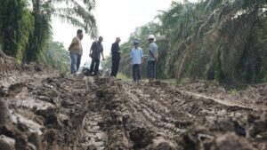 Penuhi Keinginan Masyarakat, Pak De Slamet Tinjau Jalan Kecamatan Air Salek