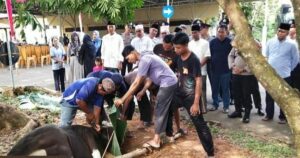 Polres Banyuasin Potong 9 Ekor Sapi Kurban
