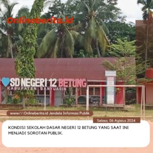 RKAS Tidak Melibatkan Komite, Penggunaan Dana BOS SDN 12 Betung Disinyalir Cacat Hukum 