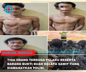 Tiga Pelaku Curat Dimasa Warga Diamankan Polsek Tungkal Ilir 