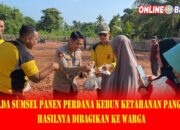 Polda Sumsel Panen Perdana Kebun Ketahanan Pangan, Hasilnya Dibagikan ke Warga