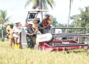 Optimalkan Swasembada Pangan, Banyuasin Nomor 3 Penghasil Gabah Nasional