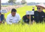 Bupati Askolani Apresiasi Bank Sumsel Untuk KUR Para Petani