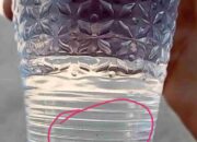 Temuan Air Keruh pada Kemasan Produk Alfa One, Aktivis Desak Transparansi dan Audit Independen