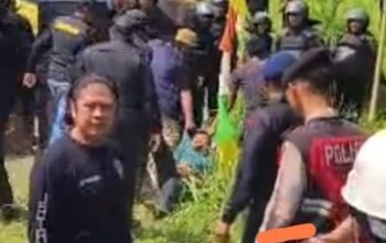 resize_cropped_1756660734060