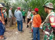 Enam Hari Tak Ada Kabar, Warga Terlangu Diduga Dimangsa Buaya Rawa