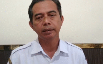 Screenshot_20251016_113641_Editor Lite