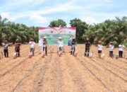 Pemkab Banyuasin Dukung Ketahanan Pangan Lewat Penanaman Jagung Serentak