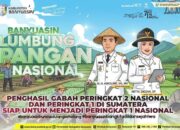 Banyuasin Duduki Peringkat Kedua Lumbung Pangan Nasional