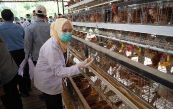 resize_IMG-20251014-WA0054