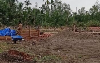 resize_cropped_1759923842092