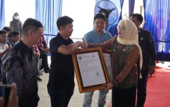 resize_cropped_1760447508116