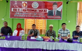 resize_cropped_1763343785013