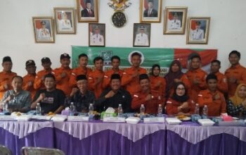 resize_cropped_1763343822960