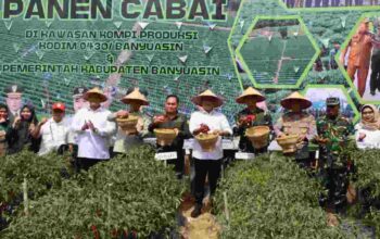 IMG-20260114-WA0008 (1)