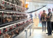 Lapas Banyuasin Dapat 300 Ayam Petelur untuk Program Pembinaan Warga Binaan