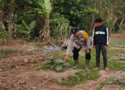 Bhabinkamtibmas Muara Padang Ajak Warga Manfaatkan Pekarangan untuk Ketahanan Pangan