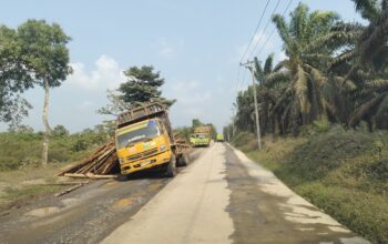 Proyek Jalan Mangkrak di PALI Makan Korban, Truk Angkutan Kayu Terjebak di Kubangan