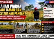 LAHAN WARGA JADI TAMAN DAN KETAHANAN PANGAN? WARGA PERTANYAKAN ANGGARAN, HASIL PANEN HINGGA PENGELOLAANNYA